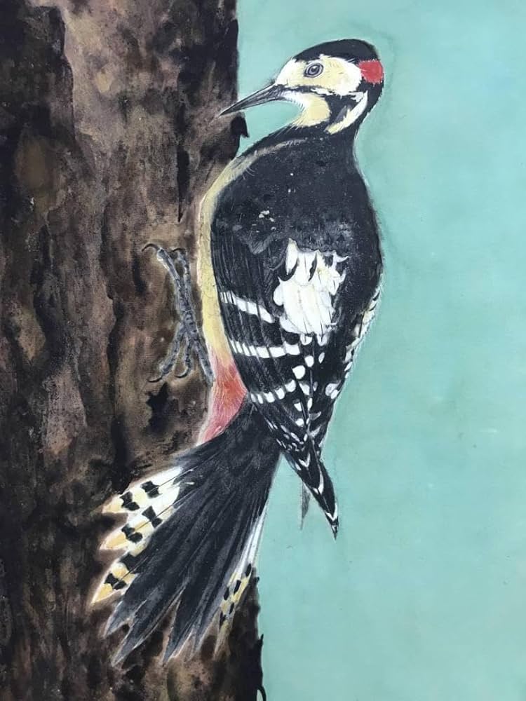 真作/朝見香城/樹間啄木鳥図/キツツキ/花鳥図/掛軸/名家伝来/AD-877 真作/朝見香城/樹間啄木鳥図/キツツキ/花鳥図/掛軸/名家伝来/AD-877